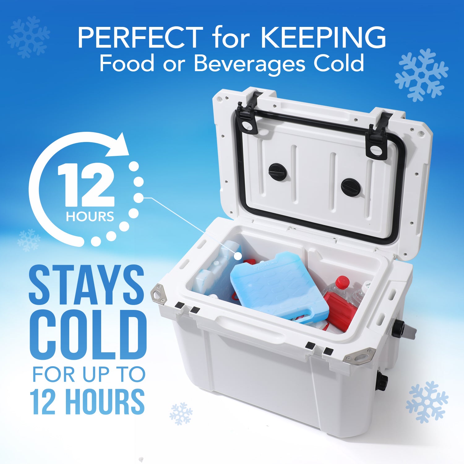 Everlasting Ice RX Large Reusable Ice Packs for Cooler with Handle