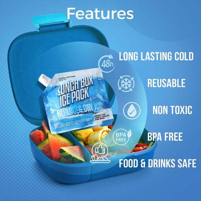 Everlasting Ice RX Reusable Ice Packs for Cooler (4 Pack) Up to 48 Hours Freezer Packs for Coolers and Lunch Boxes | 10 x 10 in | Cooler Ice Packs for Camping, Fishing, Beach, Road Trips